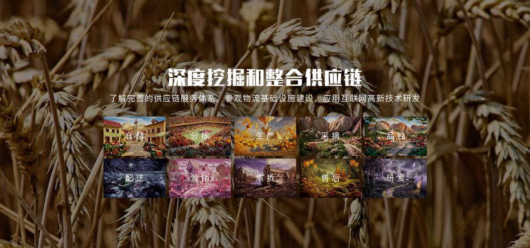 有量 &ndash; 農產品數字化供應鏈服務提供商